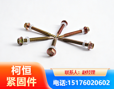 兴安盟六角钻尾丝